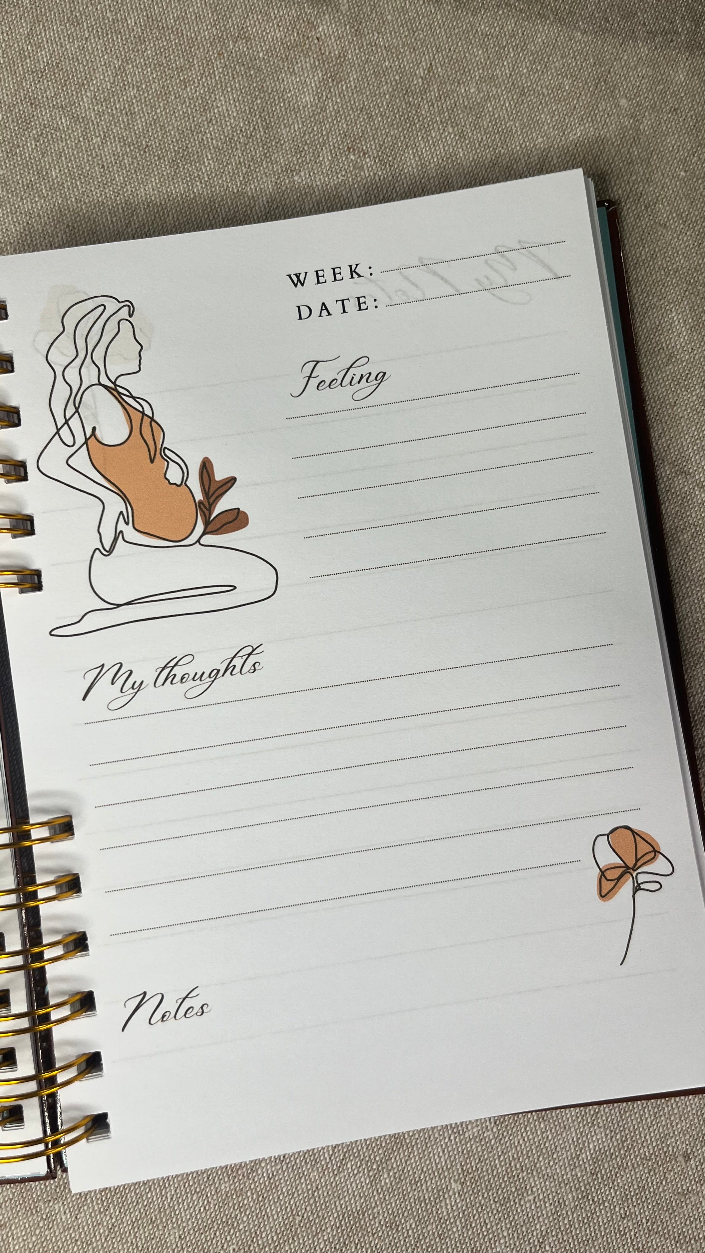 It's a Boy Pregnancy Journal