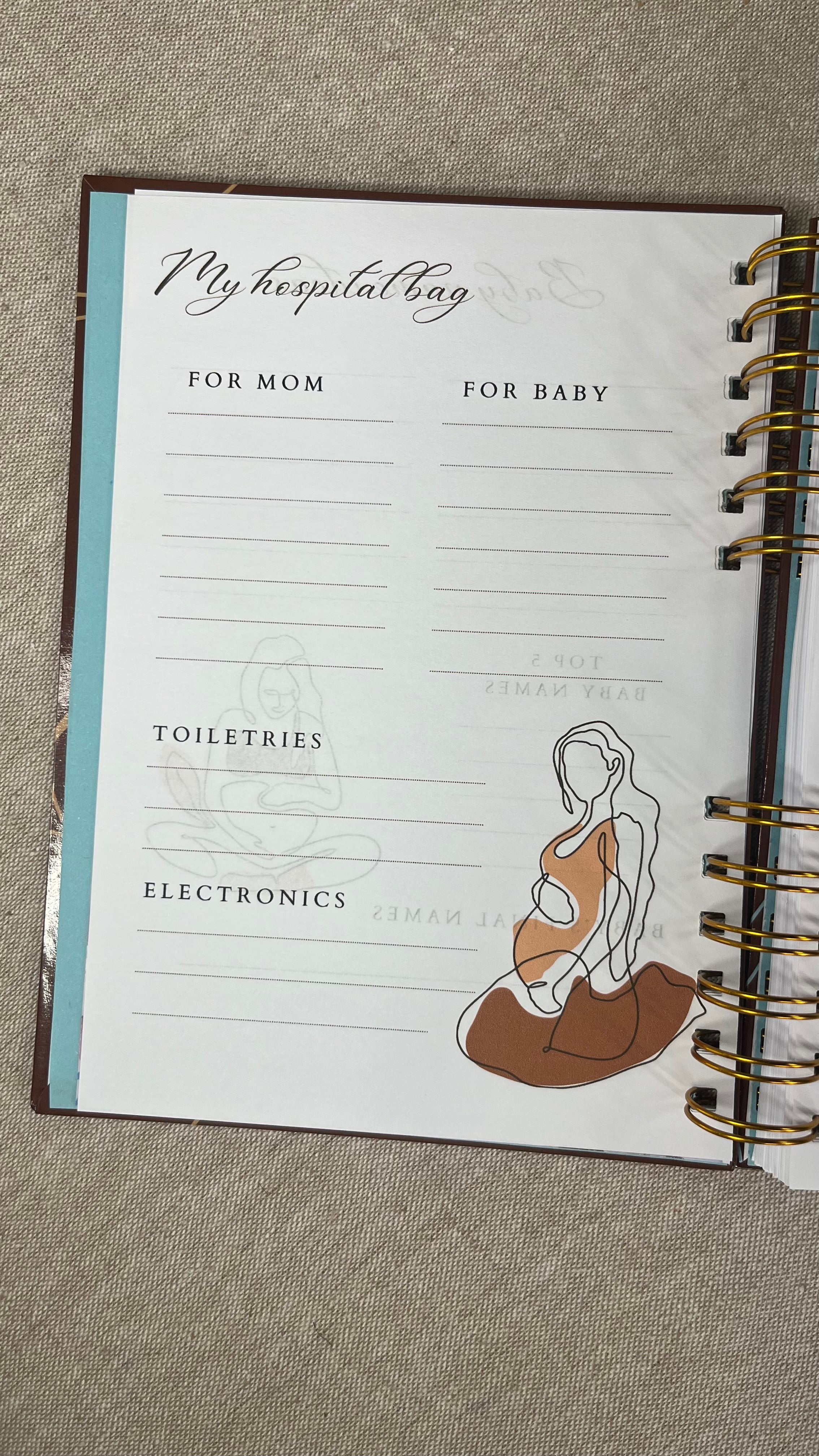 It's a Boy Pregnancy Journal