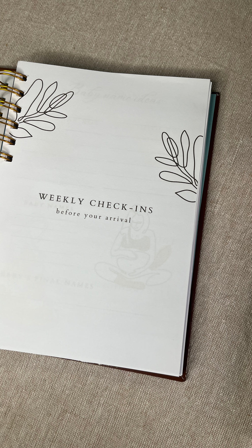 It's a Boy Pregnancy Journal