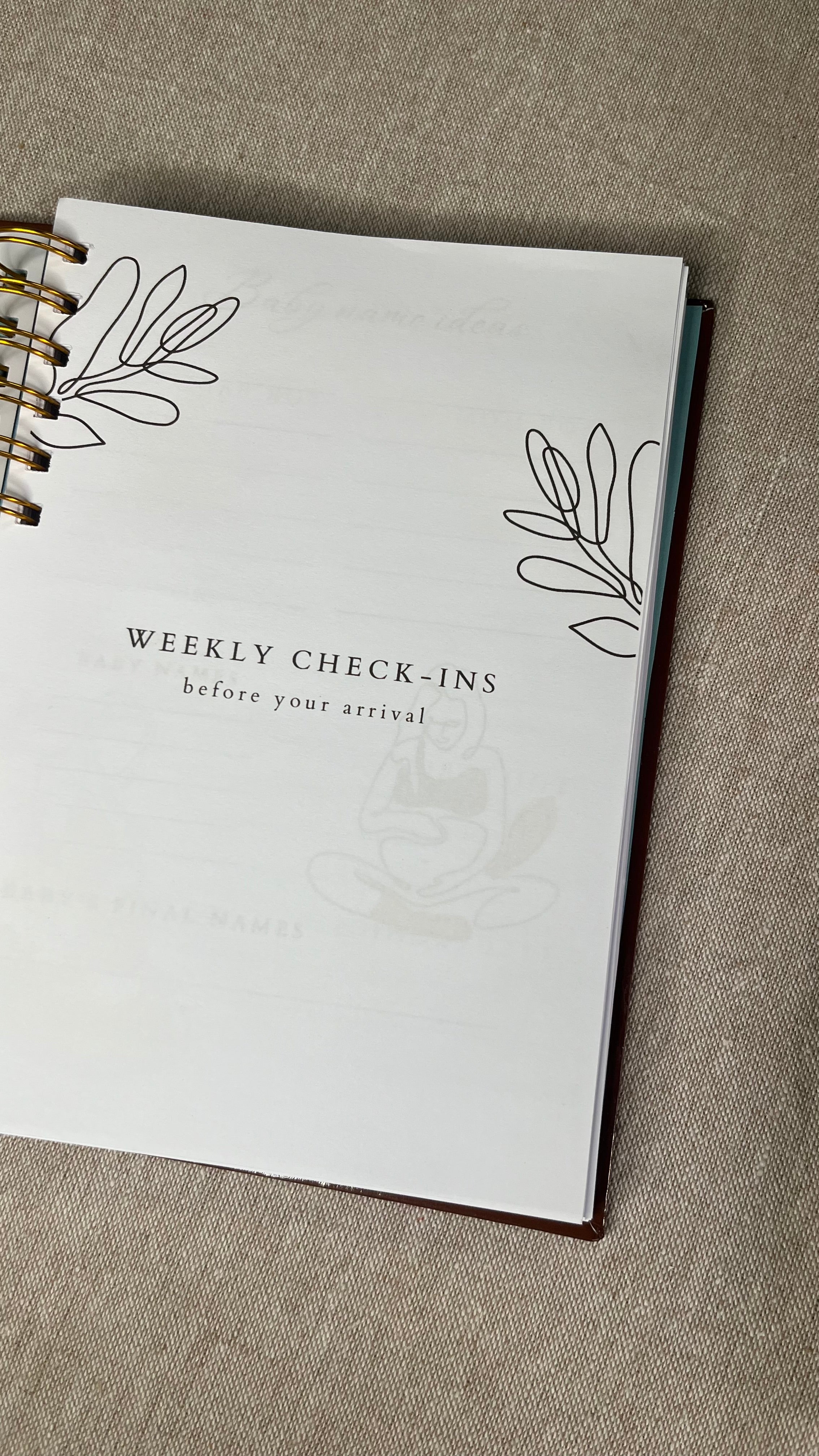 It's a Boy Pregnancy Journal