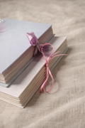 It's A Girl Pregnancy Journal